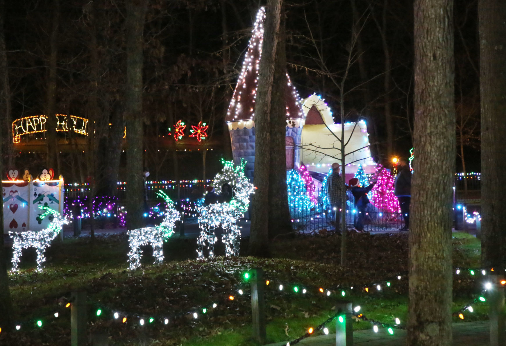 Storybook Land Christmas Fantasy Lights
